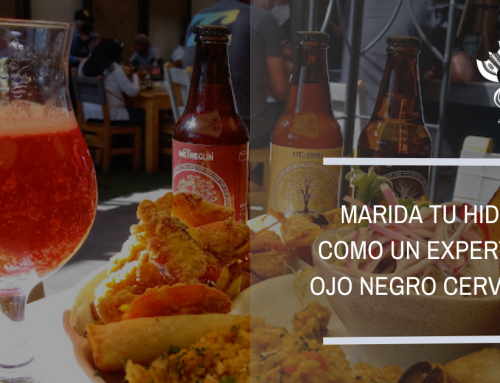 Marida tu hidromiel como un experto con Ojo Negro Cervecería